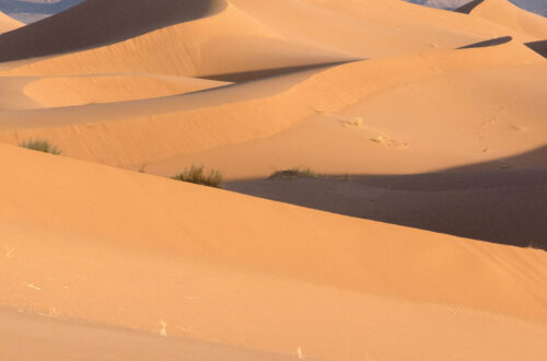 Dans le méandre des dunes